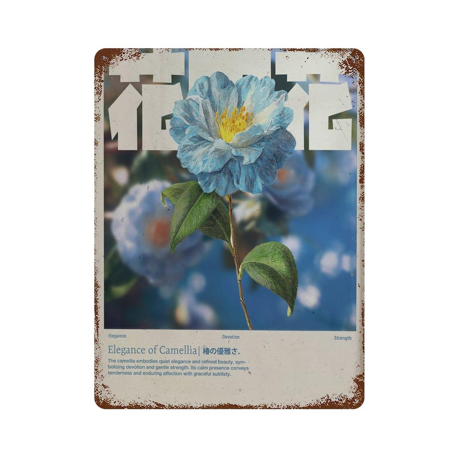 xiaoxiaoshen Camellia Flower. Botanical Y2k Indie Wall Decor Art Metal Tin Poster Modern Home Decor Art Home Bar Shop Decorations Vintage Sign 40x30cm