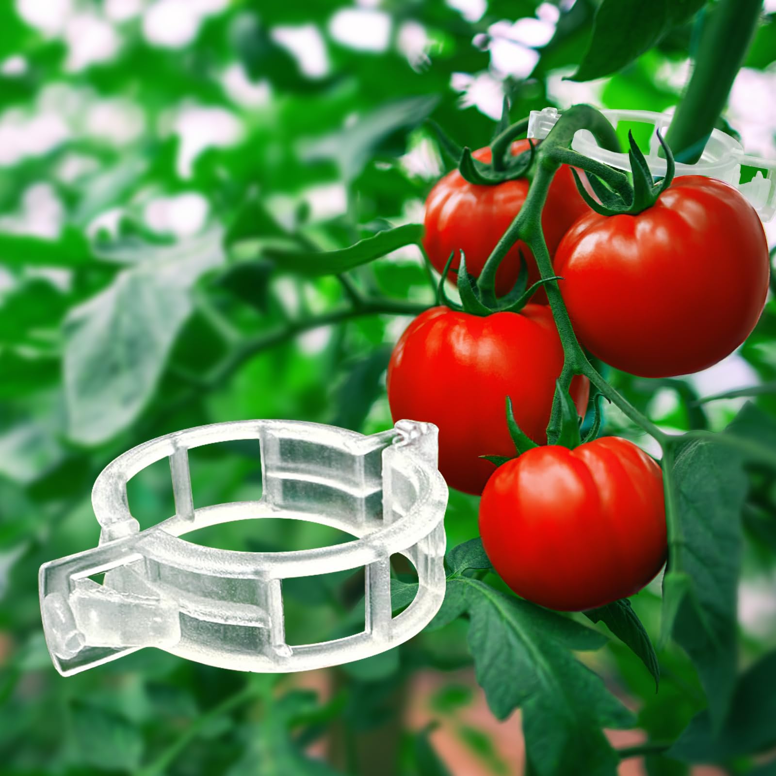Tomatenklammern für Kletterpflanzen, 100 Stück, Pflanzenstützclips & Gartenclips für Gemüse, Rebe, transparent, wiederverwendbar, Kunststoff, Pflanzenclips für drinnen und draußen,