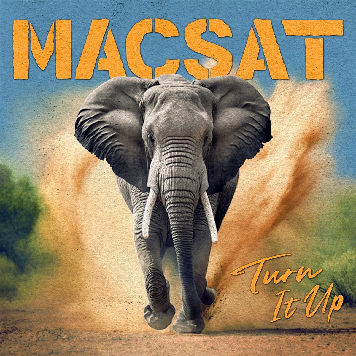 Turn It Up (Gatefold/180gr. Crystal Clear Vinyl) [VINYL]