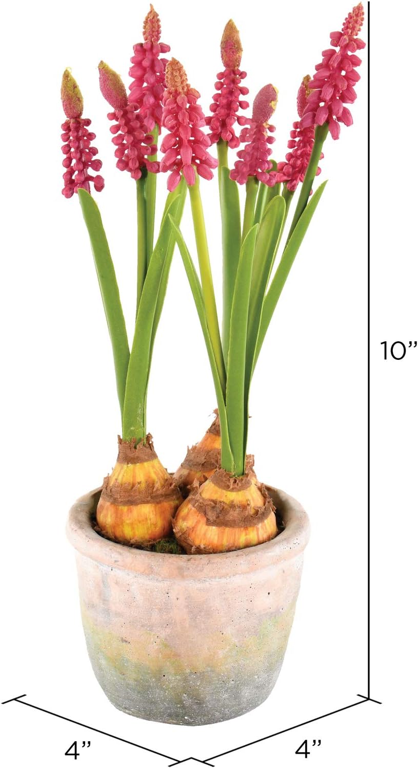 Vickerman Everyday 10" Indoor Artificial Mauve Hyacinths Cement Container - Decorative Arrangement of Durable Polyester - Maintenance Free - 2 per Pack