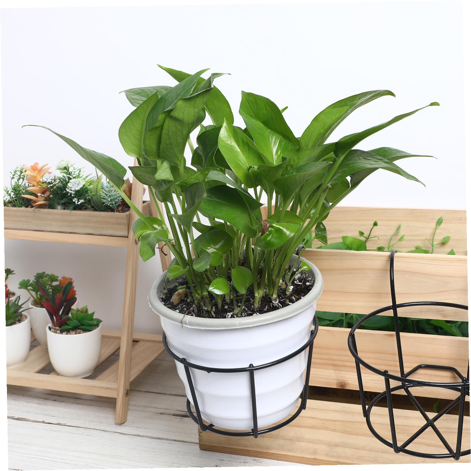 Mikikit 5piezas Soporte De Flores Colgante Redondo Para Balcón Estantes De Hierro Para Macetas Estantes Decorativos Para Jardinería