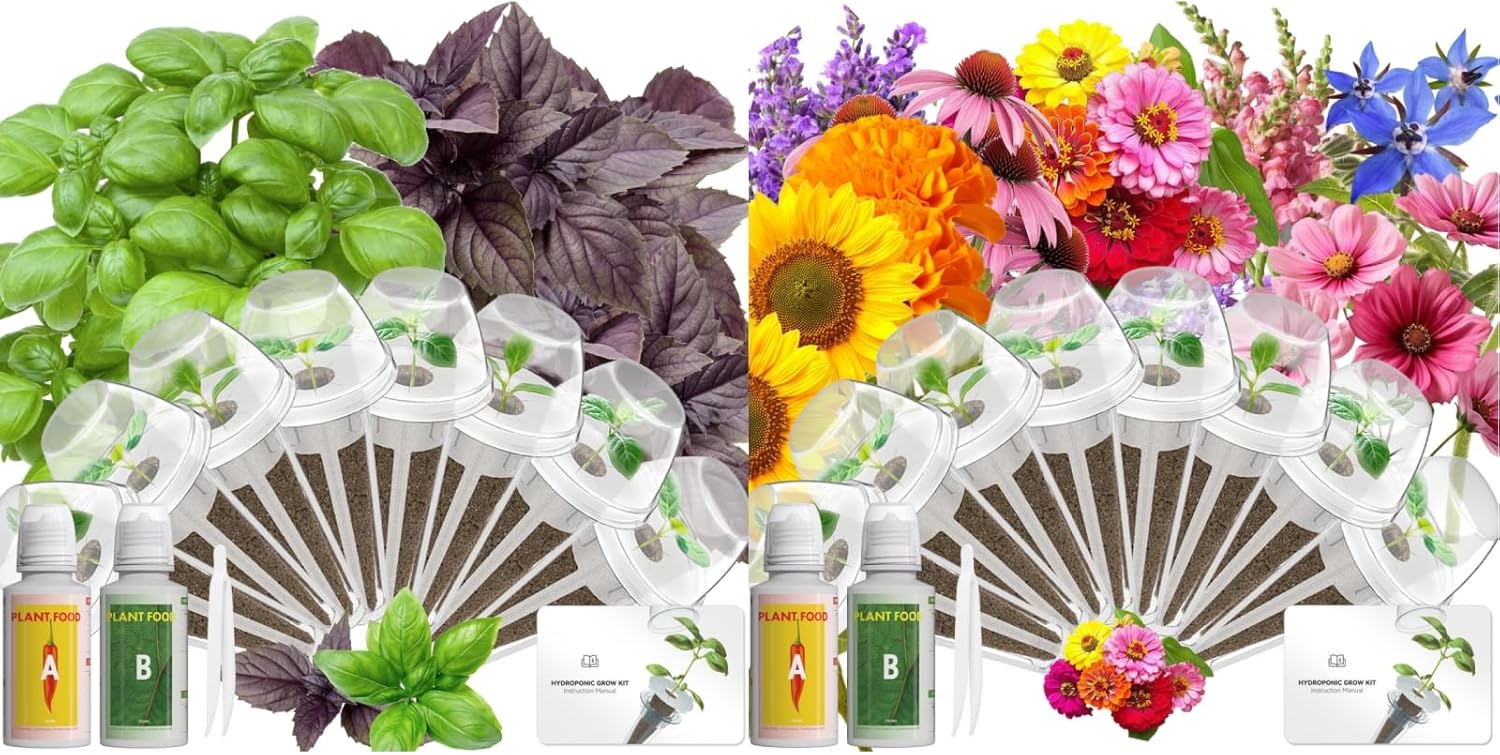 LYKOCLEAN 8 Pods Basil Seed Pod Kit and 8 Pods Vibrant Flower Seed Pod Kit, Compatible with Aerogarden, idoo, Ahopegarden, Gardencube, LETPOT Hydroponics Growing System
