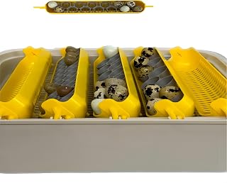 Quail Egg Rack for Maticoopx Incubators, Fits M30 or M20 Models, Holds 14 or 11 Eggs (Black） (Fits Maticopx 20 (11 Eggs))