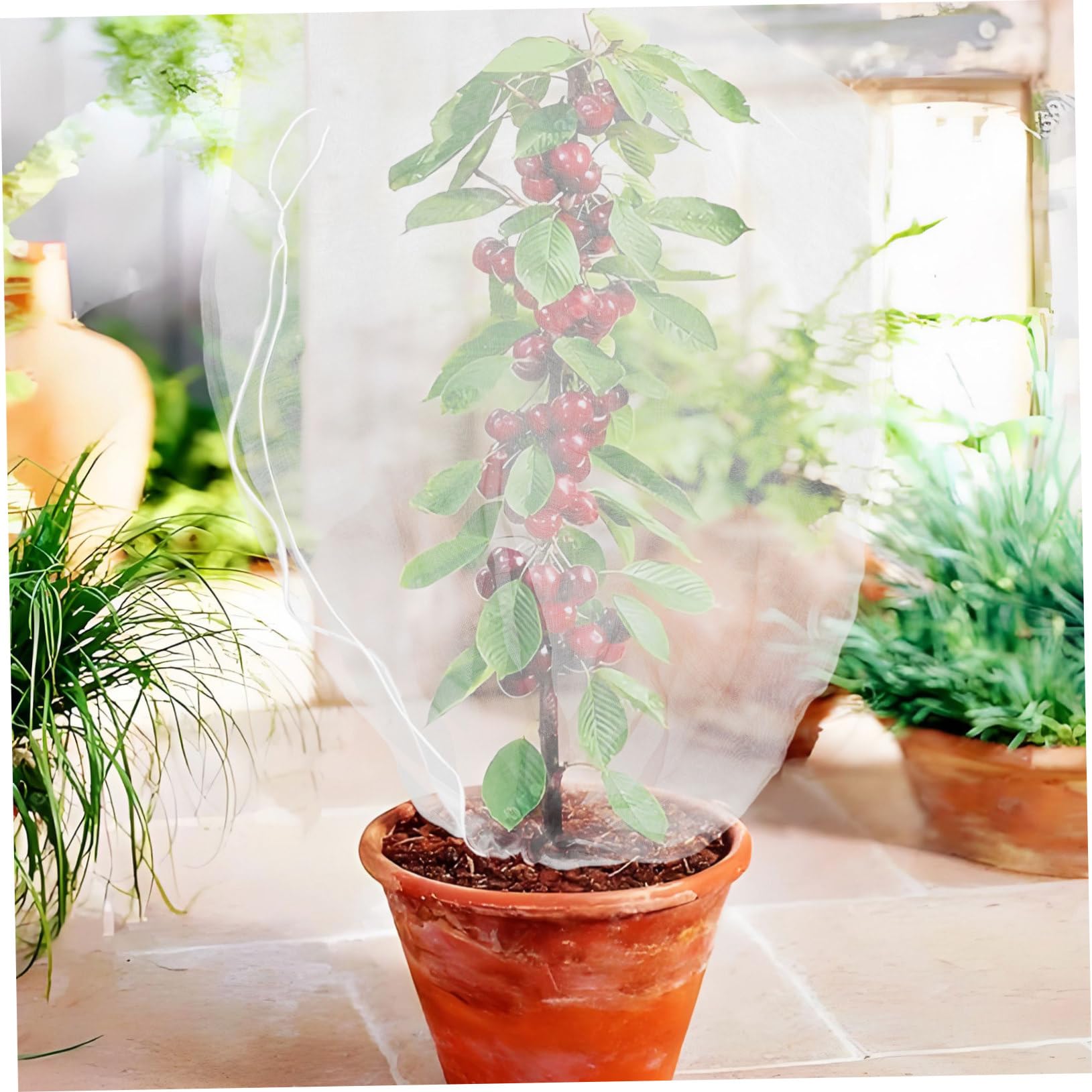 CLISPEED 8 Piezas Redes para Jardín con Cordón Malla Protectora Reutilizable para Frutas y Plantas Cubierta para Árboles Frutales y Huertos