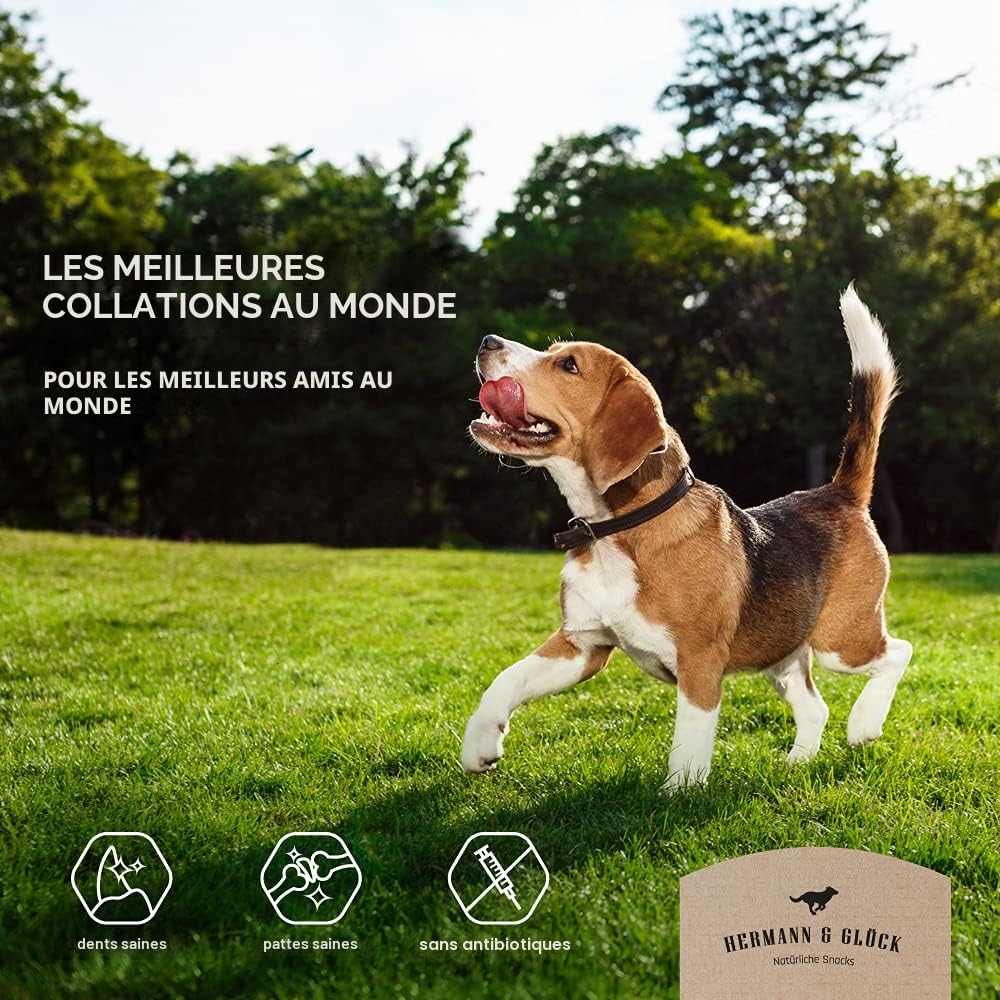 Hermann & Glück Pattes de Poule Premium Naturel 1/2kg | Dentiment de Poules pour Chien | Viande Séchée Sans Céréales | Snacks et Collations 0% de Céréales