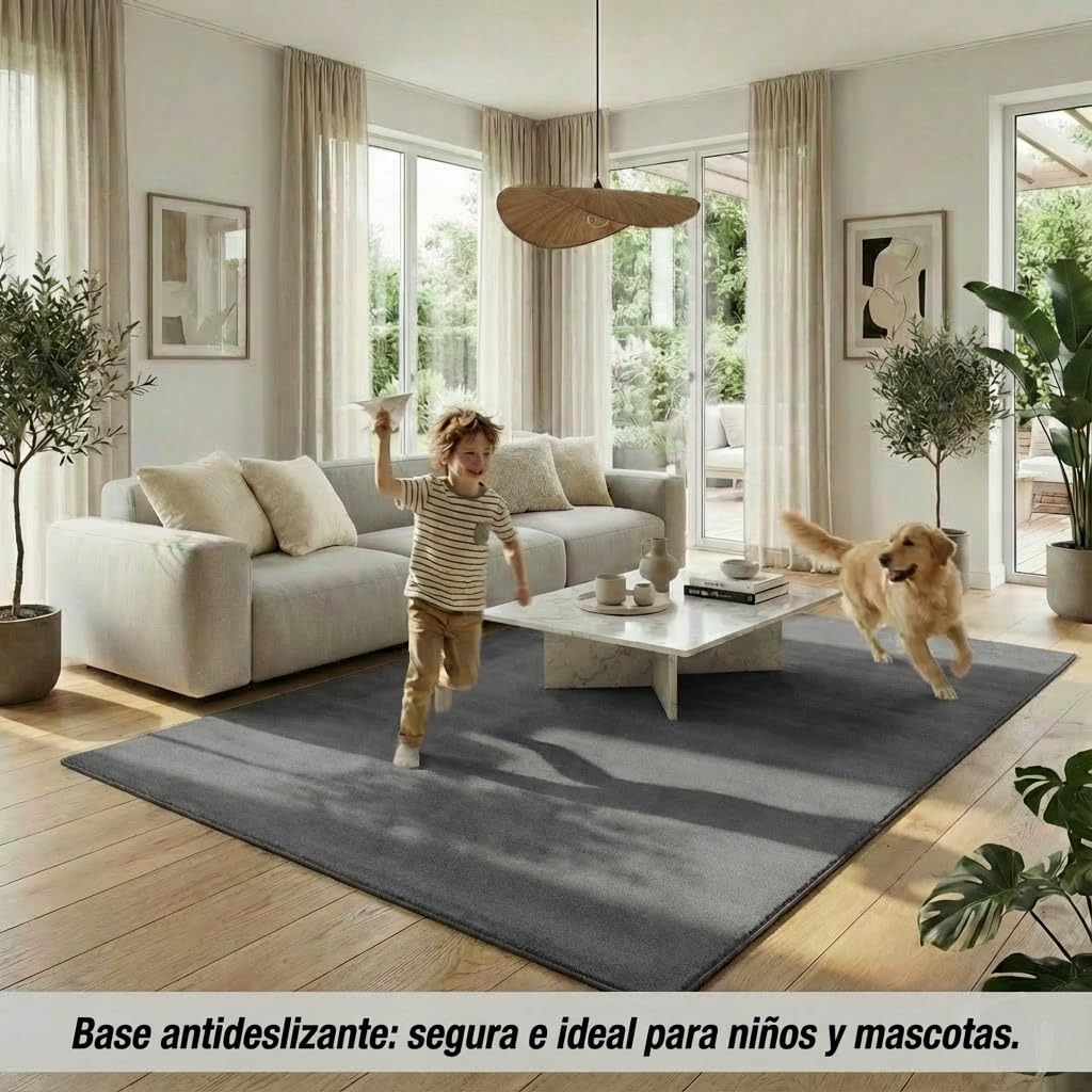 Jimri Alfombra mullida de Pelo Corto de para el hogar, Oficina, Cocina, Entrada, Pasillo, Sala de Estar, Lavable a máquina, Antideslizante, Lavable - Antracita, 200 x 280 cm