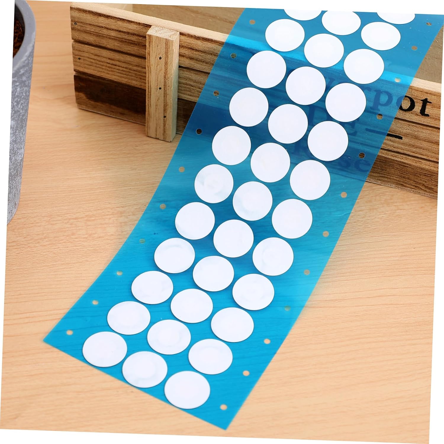 1Sheet Filter Discs Adhesive Filter Stickers for Mycology Supplies Easy Application for Pouch Filtration Synthetic Filter Paper