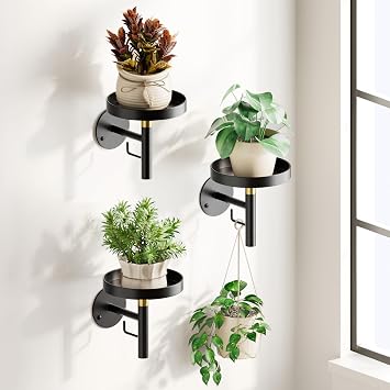 DELLAN Wall Plant Holder, 3 Pack Metal Stand, BlackGold