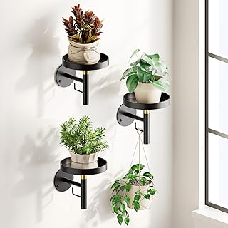 DELLAN Wall Plant Holder, 3 Pack Metal Wall Planters Stand Hanging Shelv...