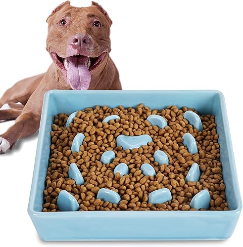 Cuencos cuadrados de alimentación lenta para perros, cuenco de cerámica divertido para razas pequeñas y medianas (turquesa)