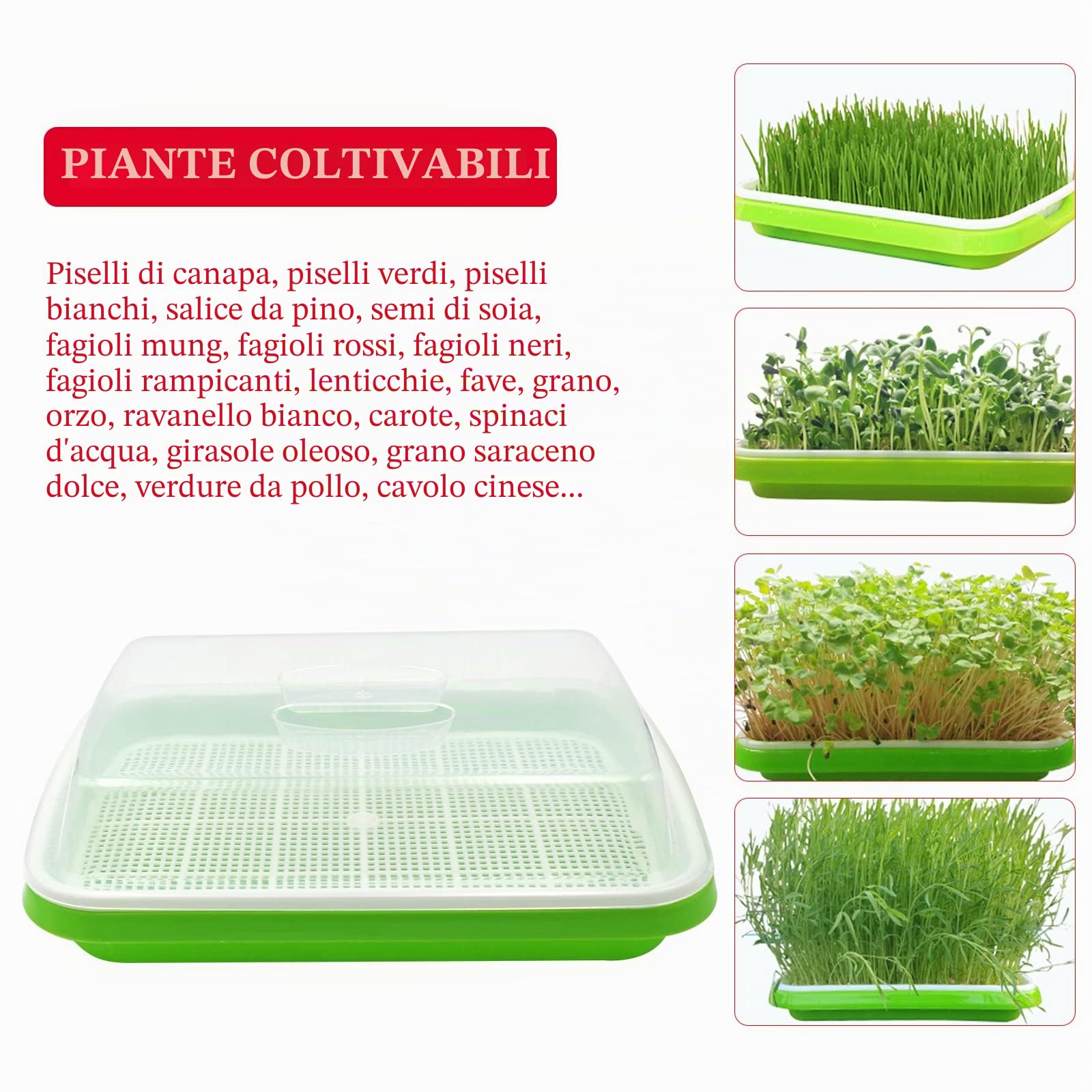 5 Strati Seed Sprout Vassoio Microgreens Kit di Coltivazione Seed Sprouter Vassoio con Coperchio Semi di Erba di Grano Grower Vassoi di Stoccaggio per Giardino Cucina casa