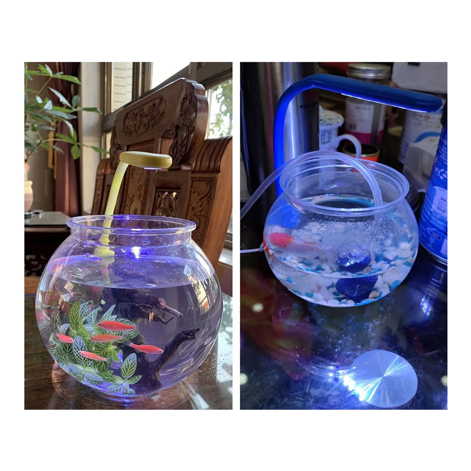 Acquario Rotondo Infrangibile, Trasparente, Ciotole per Pesci Piccoli e Rossi, 4 Dimensioni, per Caramelle, Ornamento in Plastica, Edera
