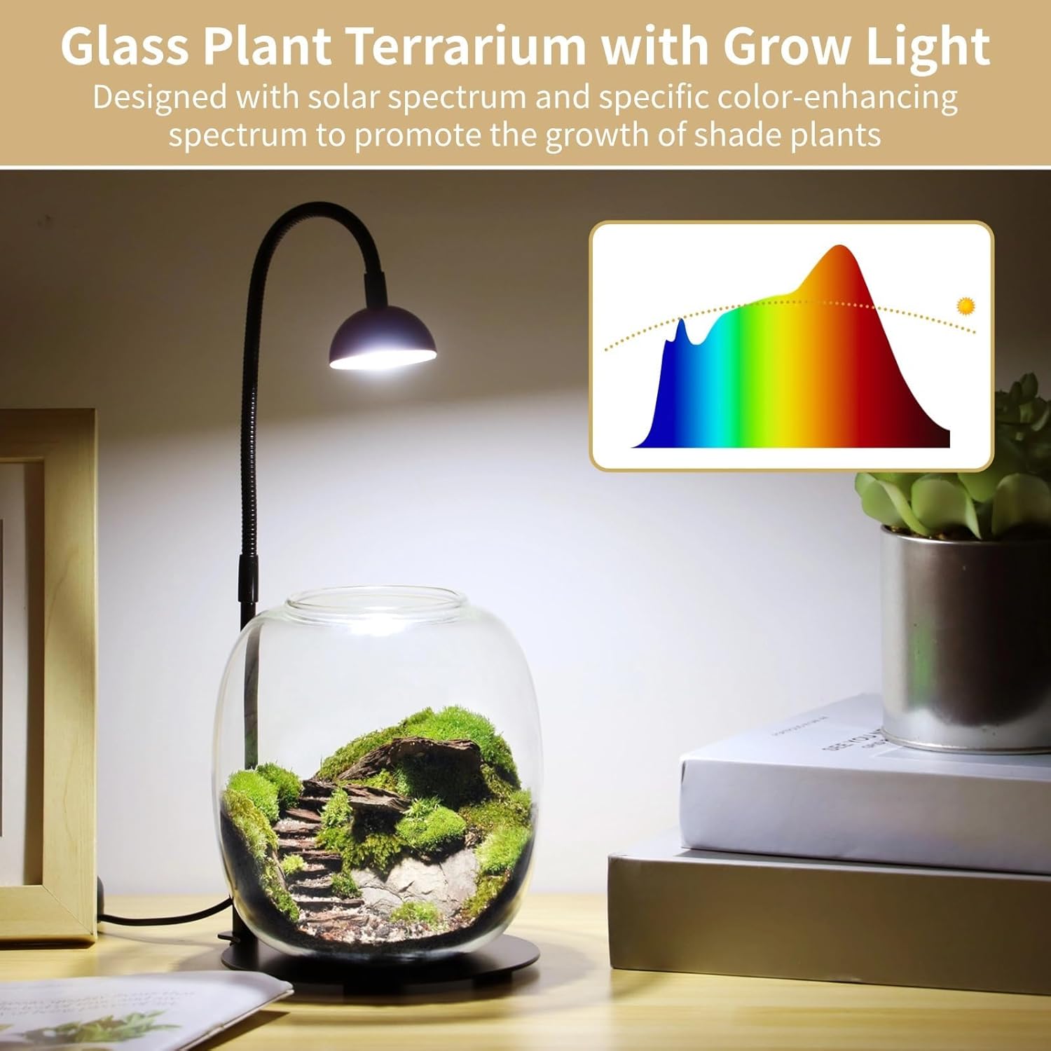 Succulent Glass Planter with Timed Led Grow Light, Miniature Garden Terrarium for Home & Office
