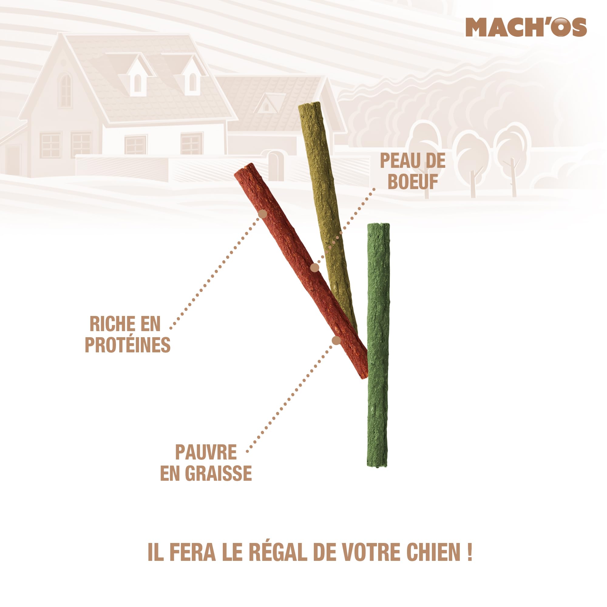 Riga - Mach'os - Bâtonnet Aggloméré - Friandise Chien - Peau De Buffle - Riche en Protéines - Hygiène Buccale - Mastication Et Récompense - pour Petit Chien - x 200
