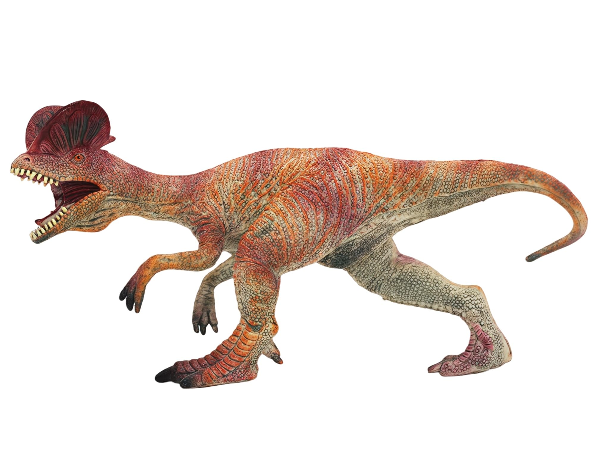 Amazon.com: Gemini&Genius Dilophosaurus Dinosaur Toys for Kids