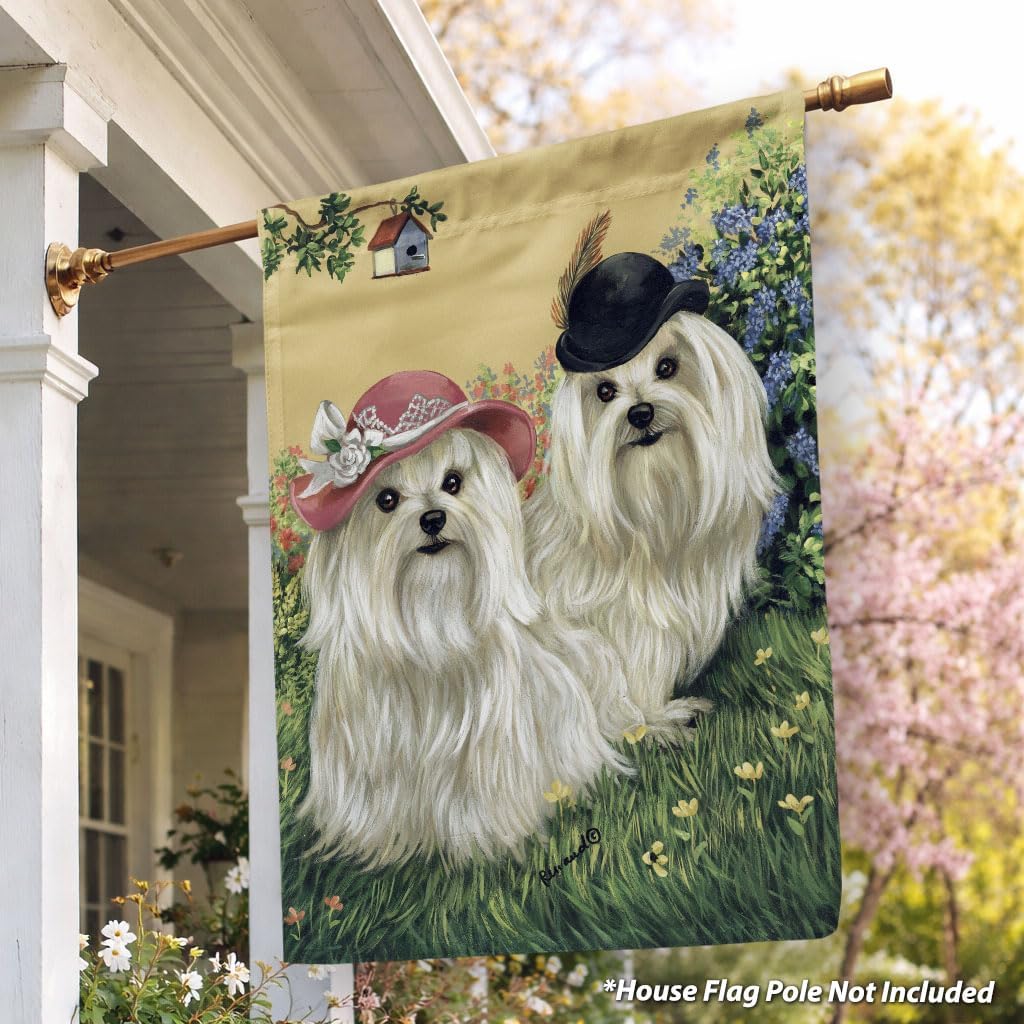 Flagology, Maltese Mr & Mrs Spring House Flag 28” x 40”, Precious Pets Paintings, Outdoor Spring Decor, Decorative Dog Lover Flag