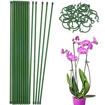 Floraページ Amazon.com : Tzdxfgl 20 Pack Flora Stakes with 20pcs Flora