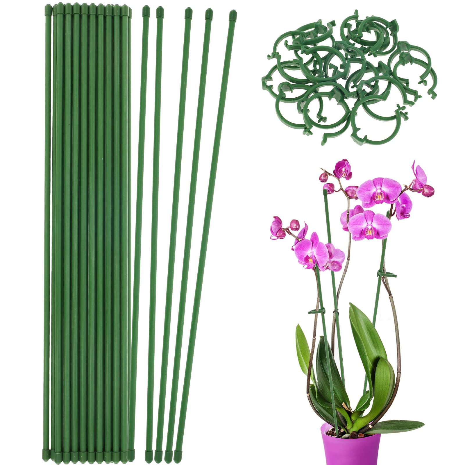 Amazon.com : Tzdxfgl 20 Pack Flora Stakes with 20pcs Flora