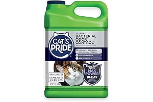 Cat Pride: The Feline Freshness Enhancer