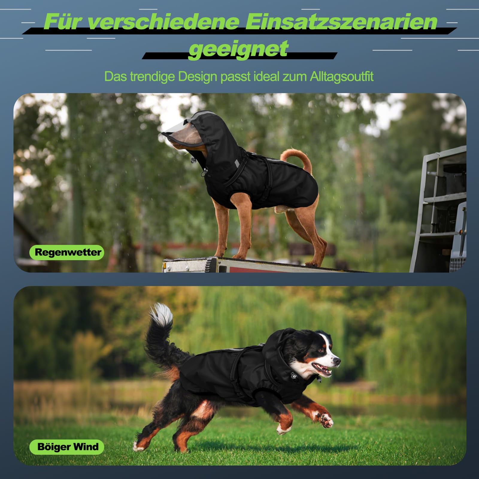 Hunderegenmantel wasserdicht, Regenjacke mit reflektierenden Streifen, H-Brustgeschirr (D-Ring) & Abnehmbarer Kapuze mit Visier, Ideal für mittelgroße/große Hunde [Schwarz, Größe M]