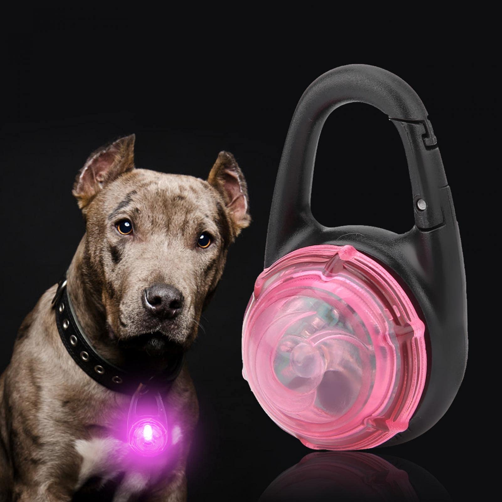 Ciondolo LED Rosso Per Cani – Luce Di Sicurezza Notturna, Aggancio Facile, Lunga Durata Della Batteria, Visibilità Alta Per Passeggiate Al Buio