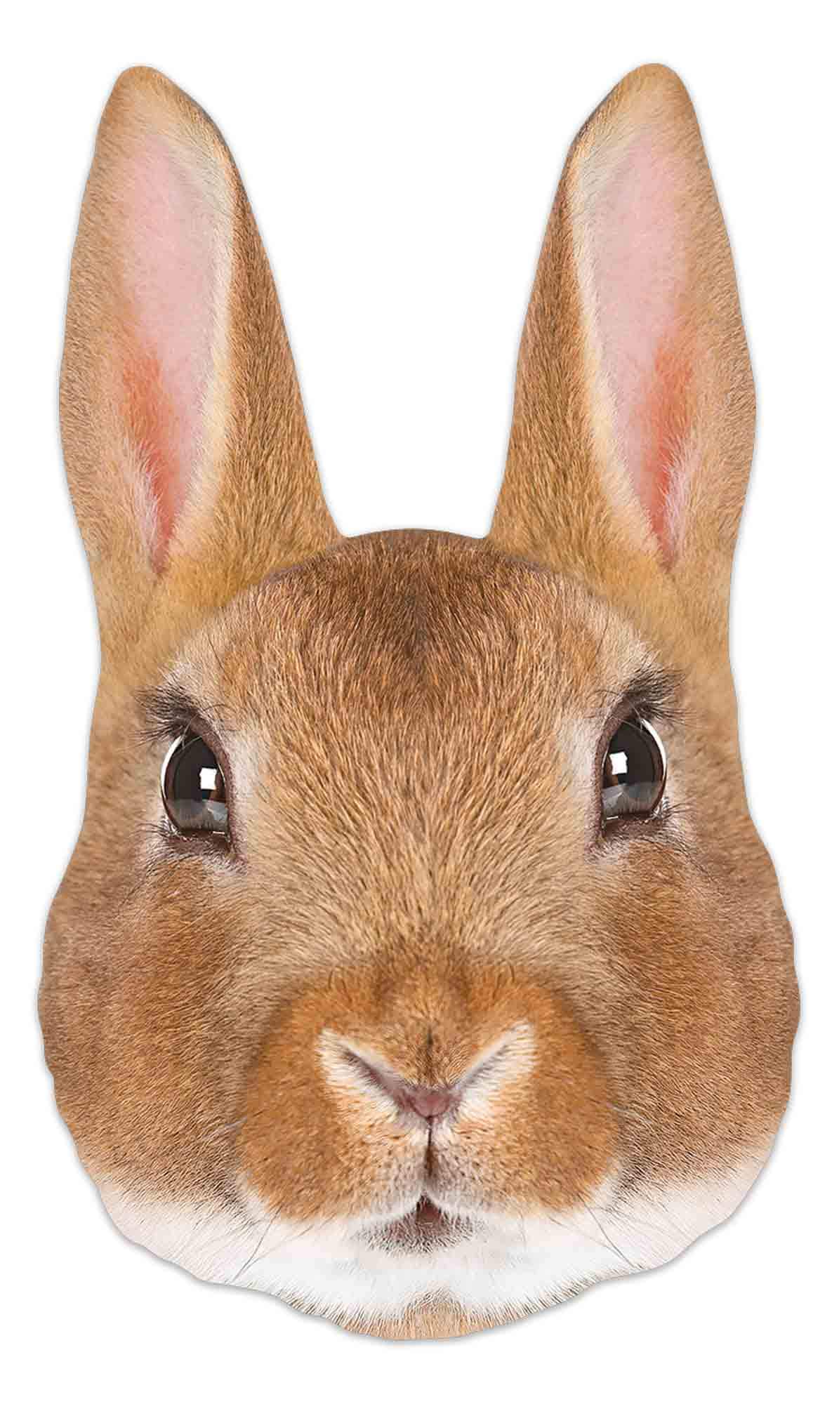 Star Cutouts Ltd Rabbit Single Face Mask Cardboard Face Mask l Animal Mask l