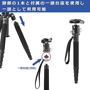 Amazon | ベルボン 【Amazon.co.jp限定】Velbon トラベル