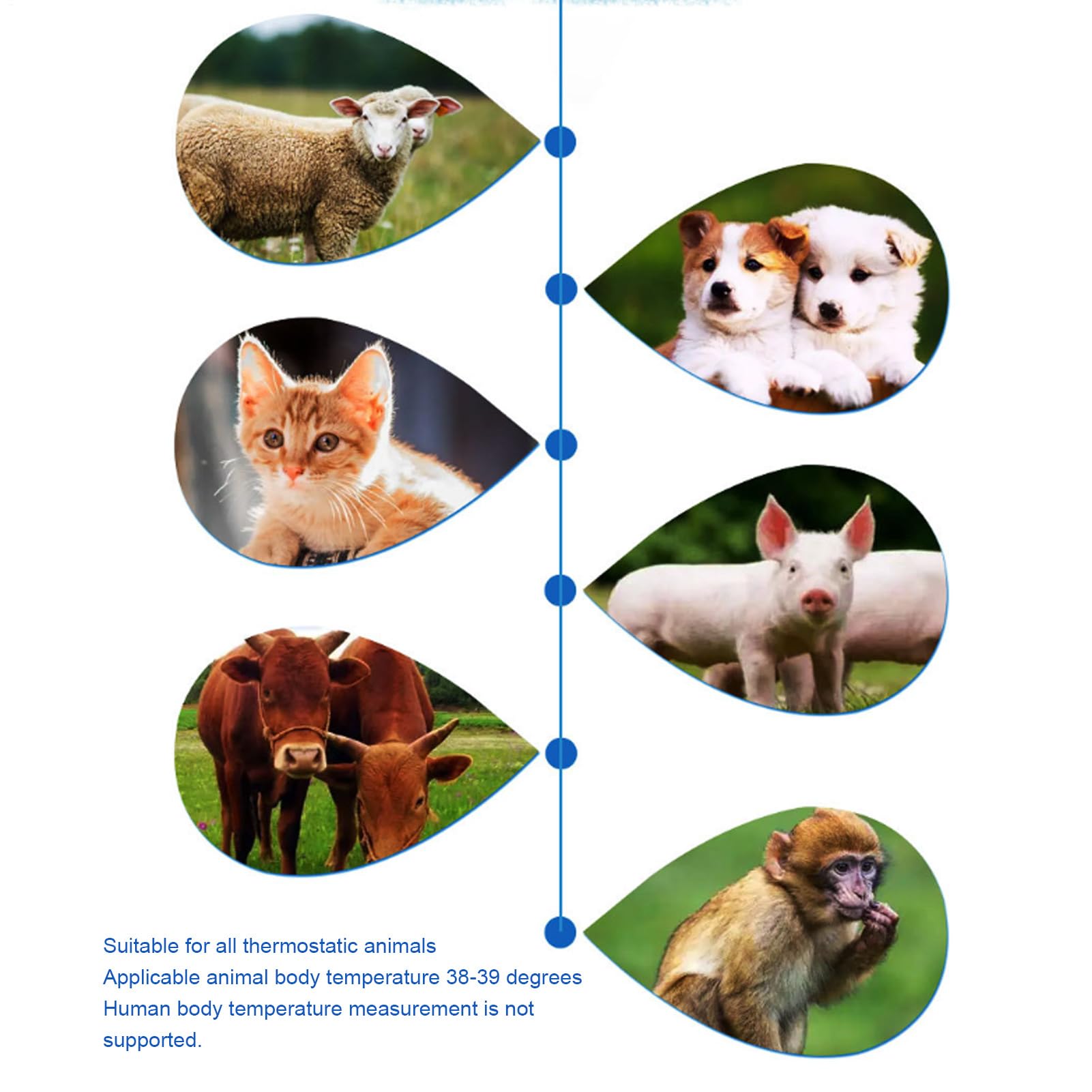 Haustier Spezial Thermometer Hunde Katzen Genaue Temperatur, Über USB Wiederaufladbar, Für Haustiere Elektronisches Tier Thermometer Berührungsloses