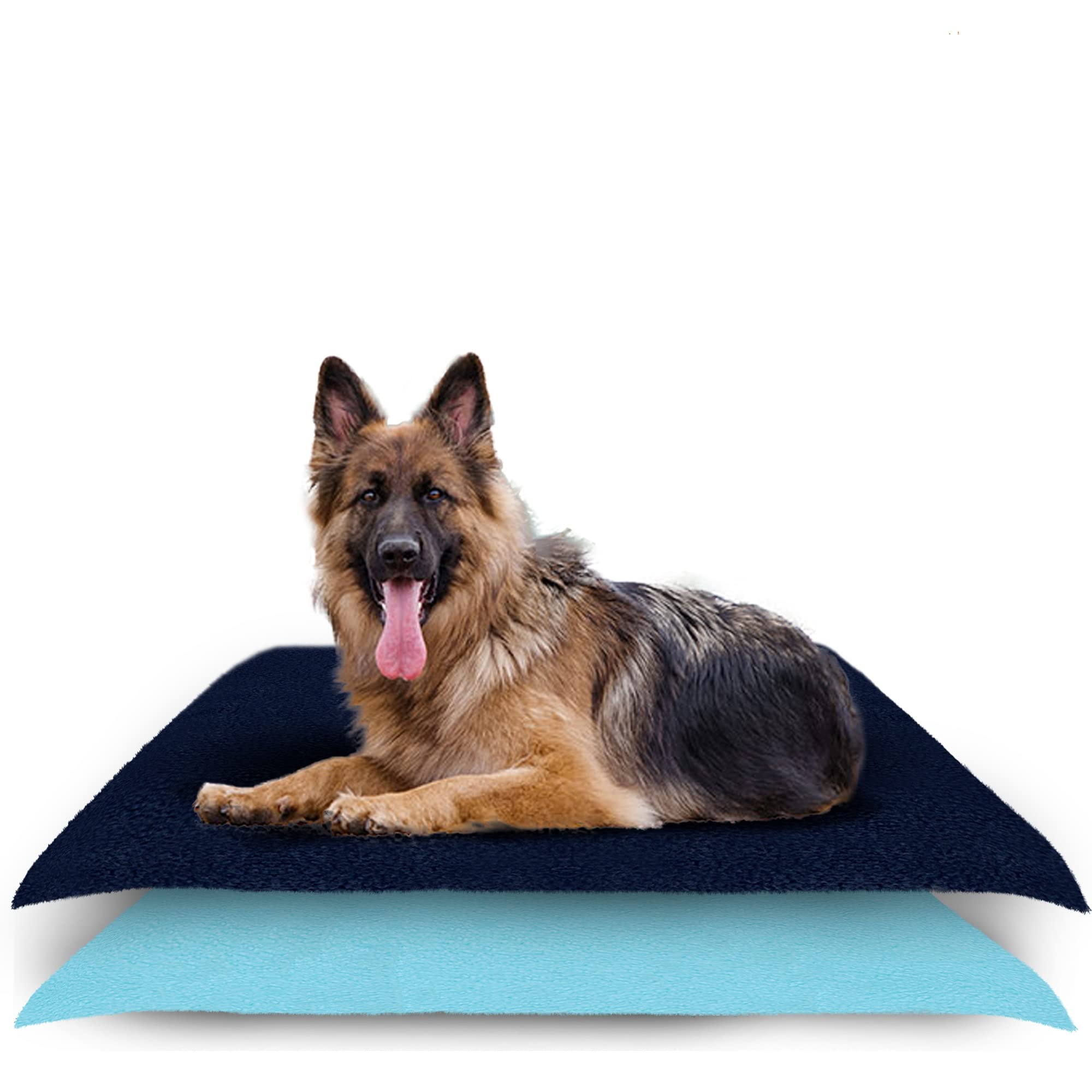 AMORITE Waterproof Reusable Washable Pee Pads & Hygenic Pet Dry Sheet | Training Pads for All Pet | Size- 140 x 100 Large Combo (Color, Dark Blue + Sea Blue) (B09JLRQXZR) Amazon Price History, Amazon Price Tracker