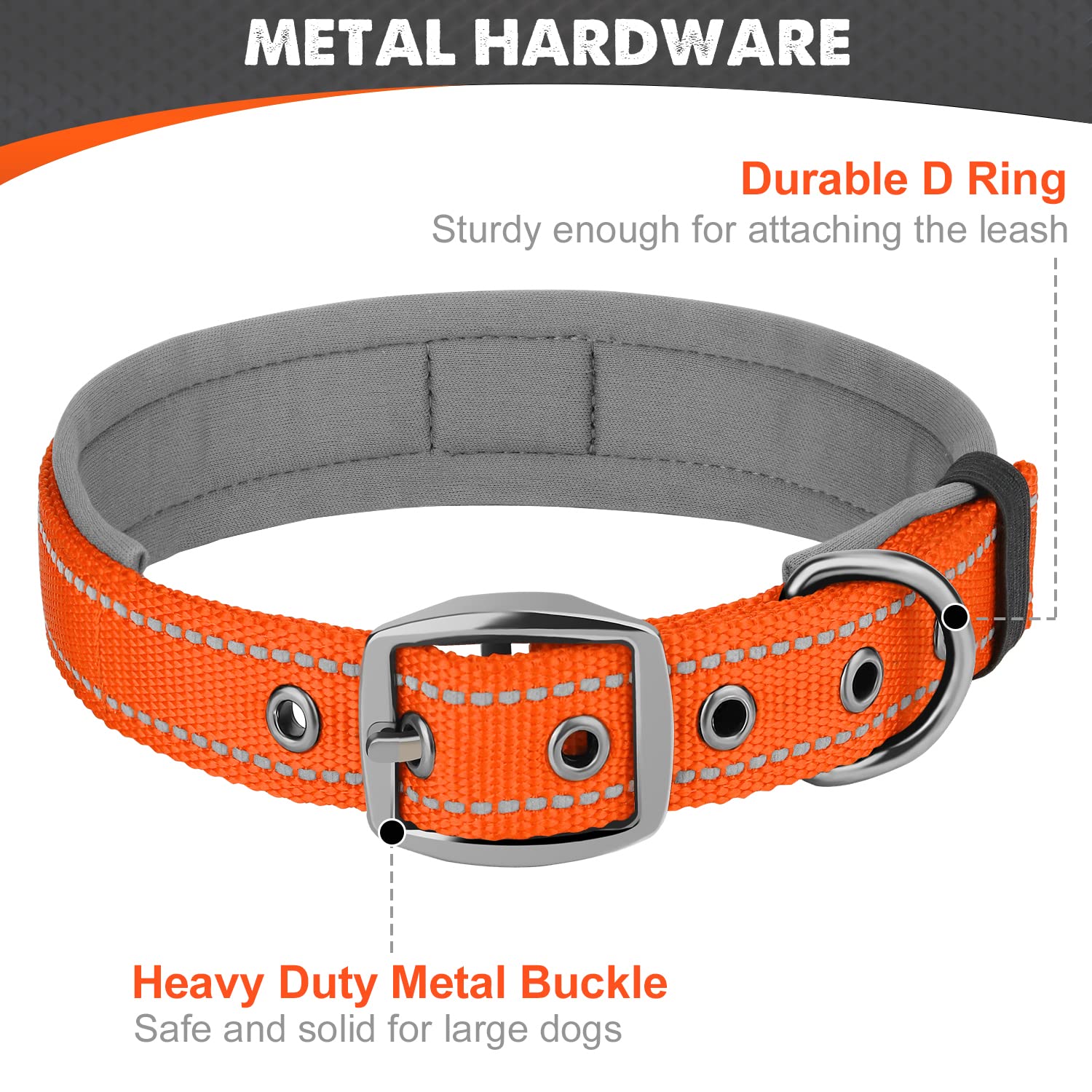 Collare Tattico Per Cane Taglia Media - In Nylon, Con Fibbia Metallo, Regolabile, Turchese, Misura M - Foto 3