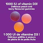 Webber Naturals Vitamin D3 1000 IU, 90 Gummies, For Healthy Bones, Teeth, and the Maintenance of Good Health