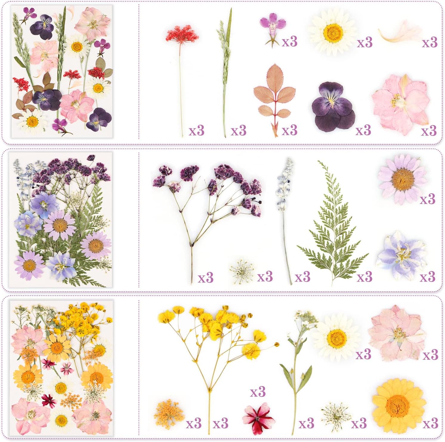66 Fleurs Séchées Naturelles NVIYAM - Pour Résine Epoxy, Scrapbooking, DIY - Mélange Coloré