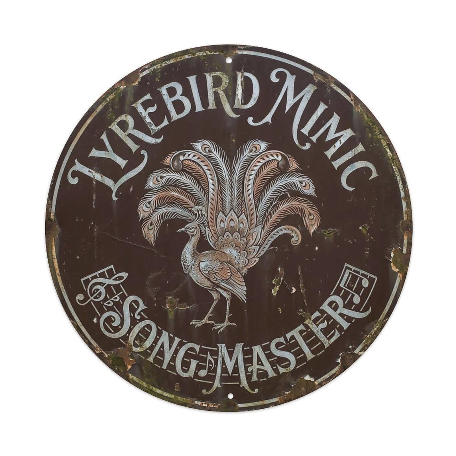 Cxhjca 8X8inch(20X20cm) Lyrebird Mimic Song Master Metal Tin Sign