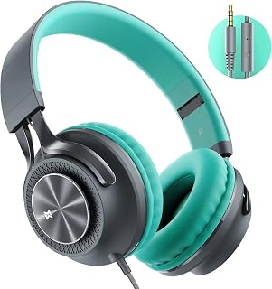 Mevoix On Ear Headphones with Microphone, Stereo Bass Noise Isolating Wired Headphones for Adult Girls Teens, Lightweight Foldable Corded Headphones for School Travel Computer Tablet Laptop Ipad