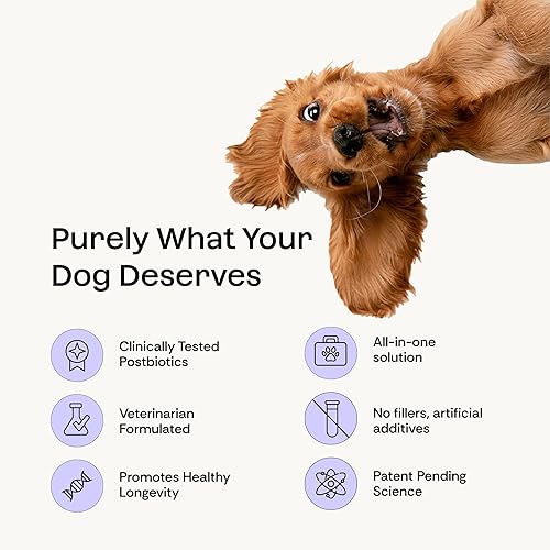 Miniatura 5 de Suplemento todo en uno para perros en polvo para intestino diario, alergia inmunológica articular y apoyo oral fórmula pre+postbiótica con