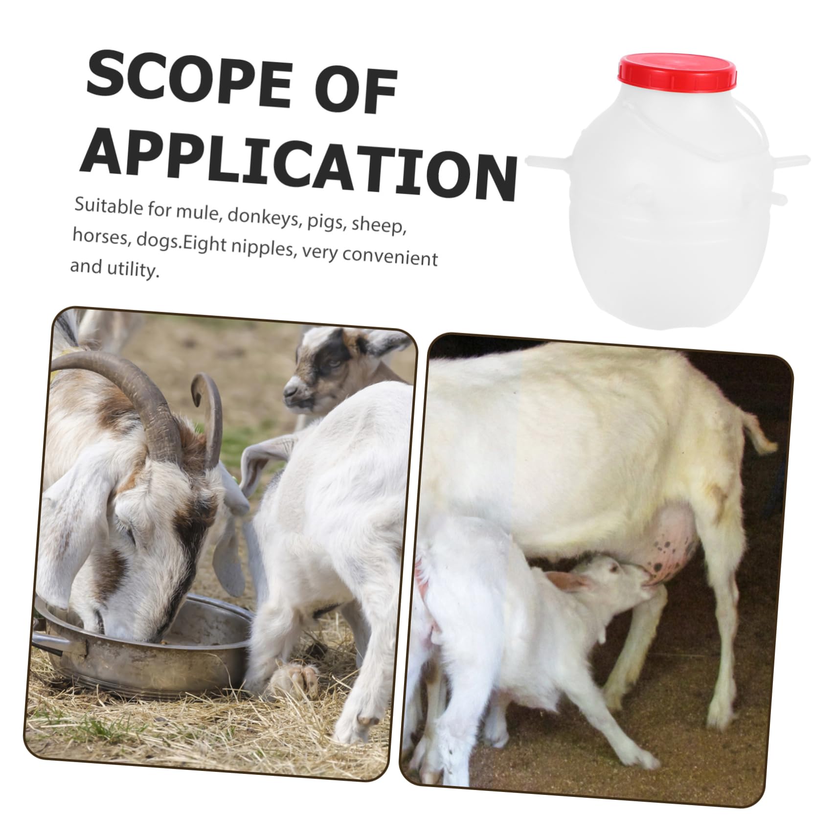 ERINGOGO Biberon per Agnelli 8 con Tettarella in Silicone Secchio Alimentazione Animali Bottiglia Latte per Vitelli e Capretti