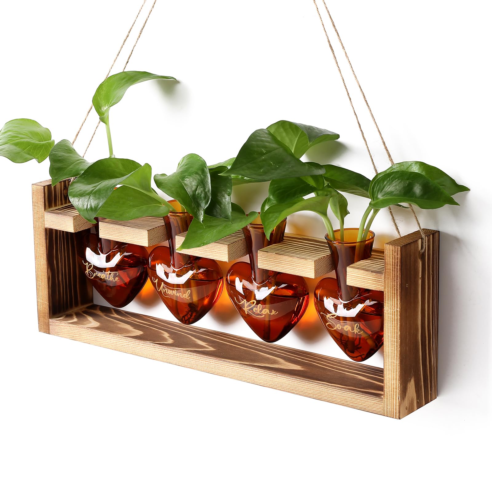 CYZglass Plants Propagation Stations Plant Terrarium Kit for Bathroom Glass Planters for Indoor Plants Bathroom Decor Accessories - Relax Soak Unwind Breathe