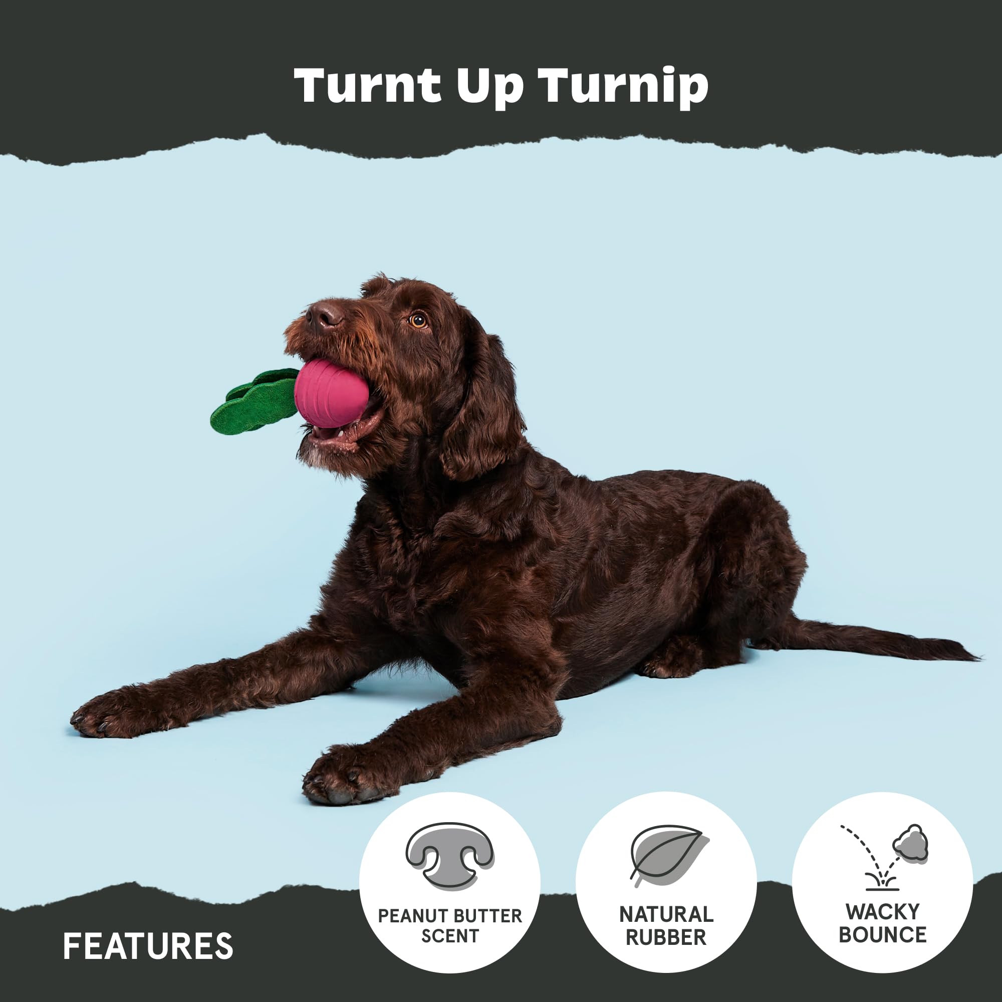 BARK Dog Toy Super Chewer Turnt Up Turnip Natural Rubber Toy for Dogs Peanut Butter Scented, Plush Leaves To Toss - Image 4