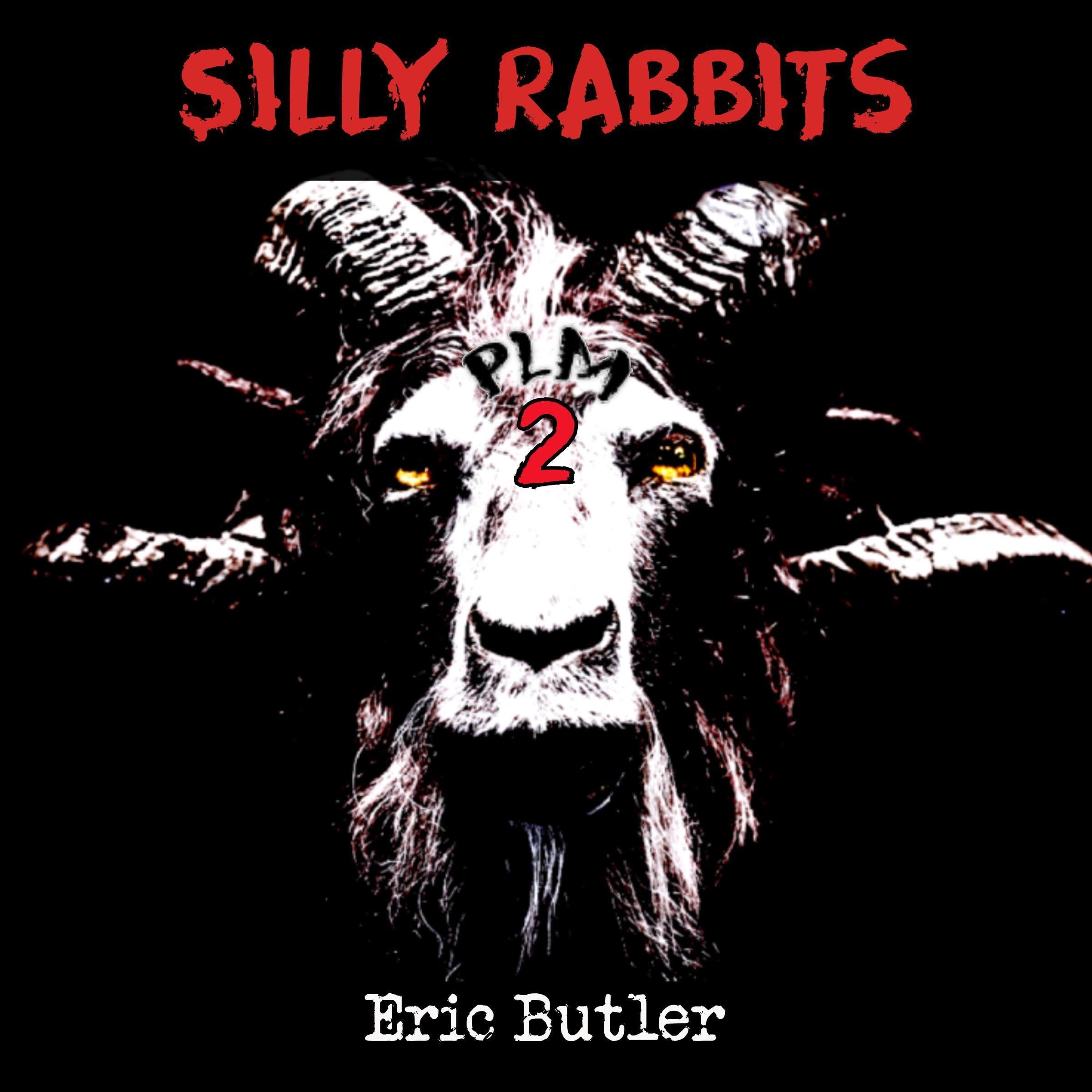 Cover art for Silly Rabbits
