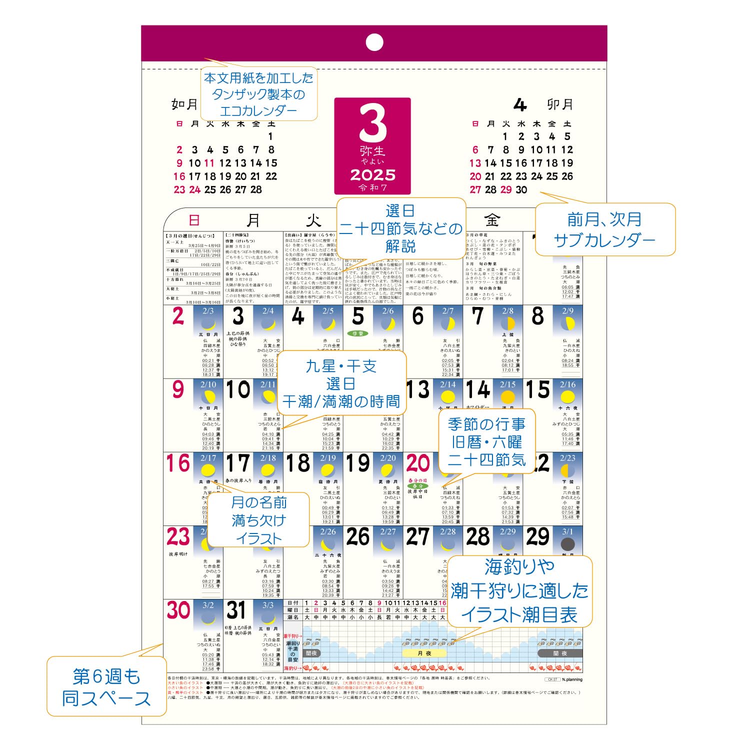 Amazon.co.jp: Wall Calendar [Begins January 2025] A3