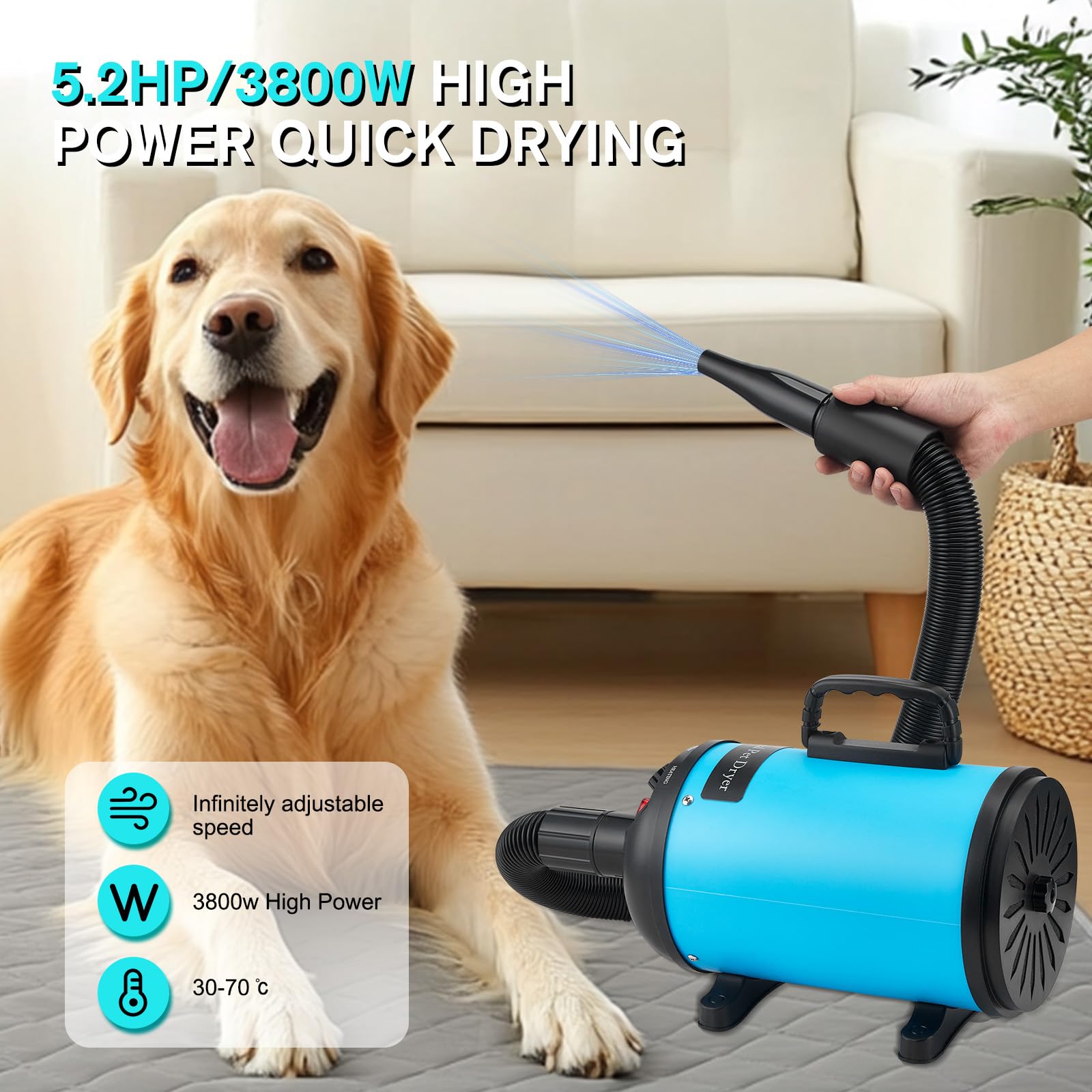 Asciugacapelli per cani, asciugacapelli per cani, 3800 W/4,5 CV, asciugacapelli professionale per la cura del pelo, regolazione continua della velocità, a basso rumore, con 4 diversi ugelli, tubo