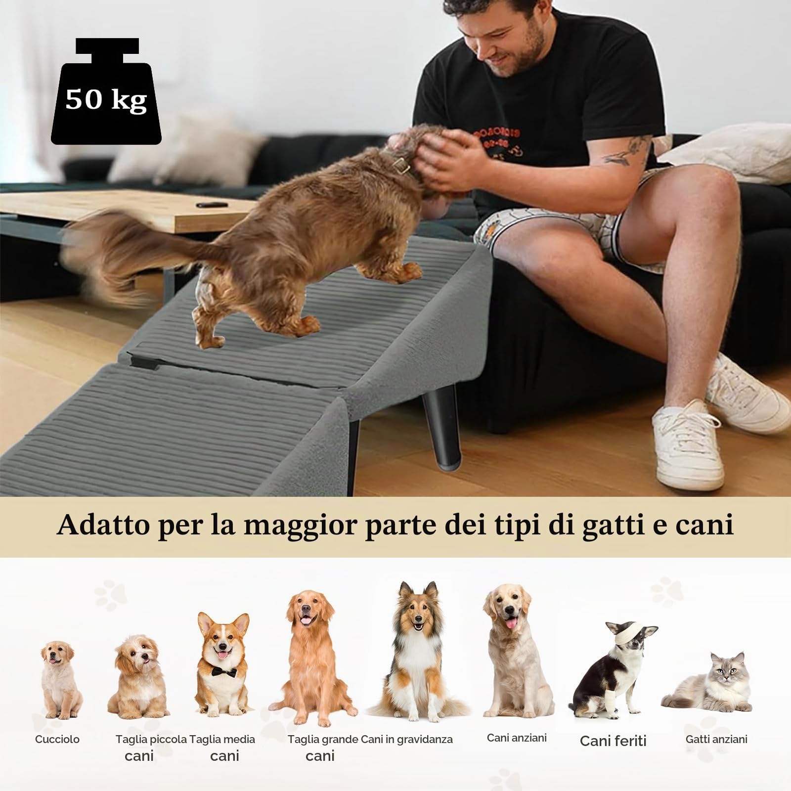 Scalini per Cani, Rampa per Cani Divisa in Due per Divano Letto Auto, Scale Multifunzionali di Piccola Media e Grande Taglia, Rampa per Animali Domestici con Superficie Antiscivolo,Nero