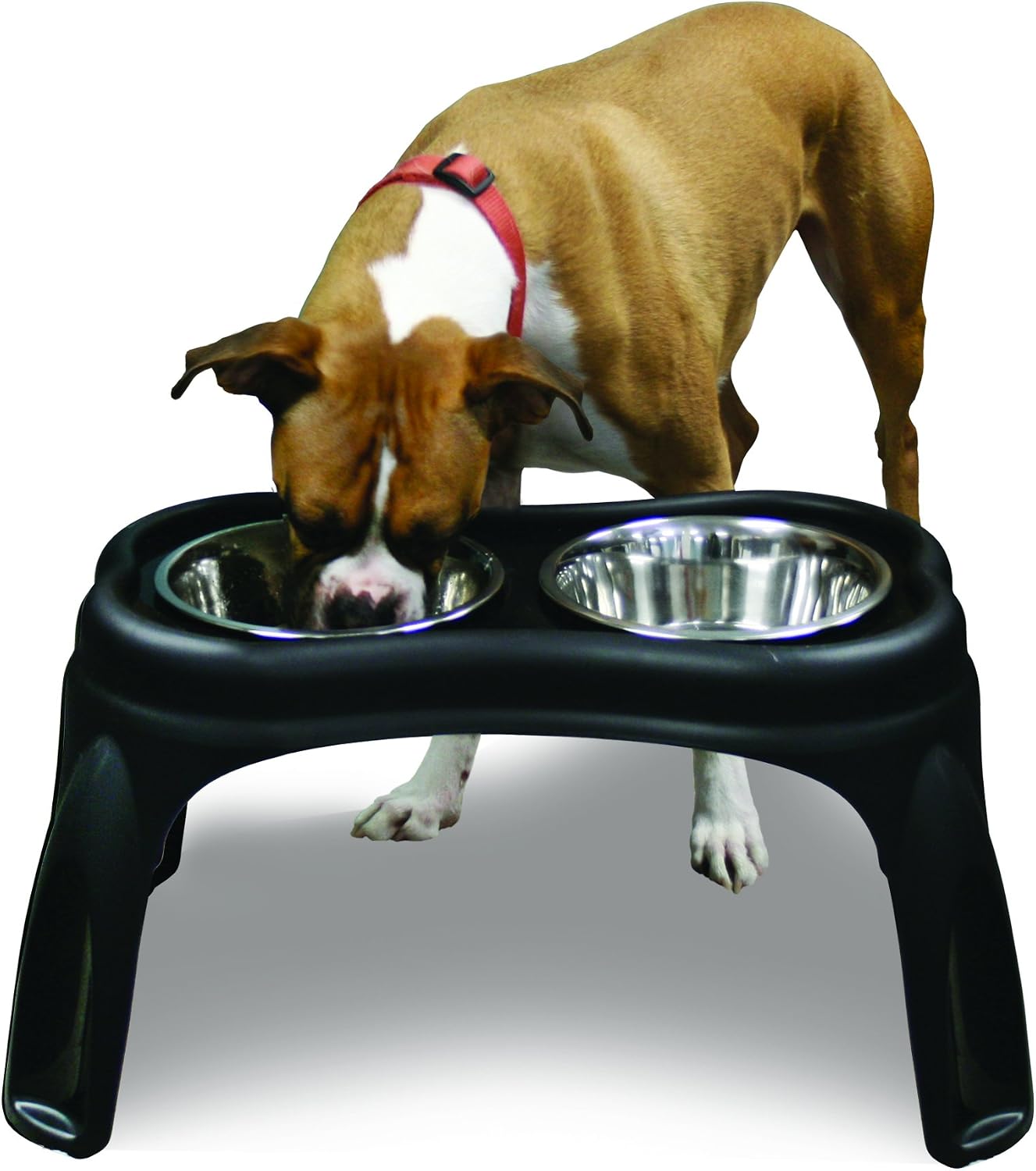 OurPets Elevated Bone Feeder Raised Dog Bowls Feeding Station