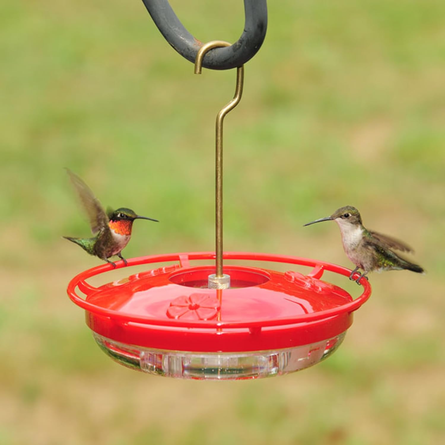Aspects 430 Hummzinger Highview Mini Hummingbird Feeder, Red/Clear, 8 oz