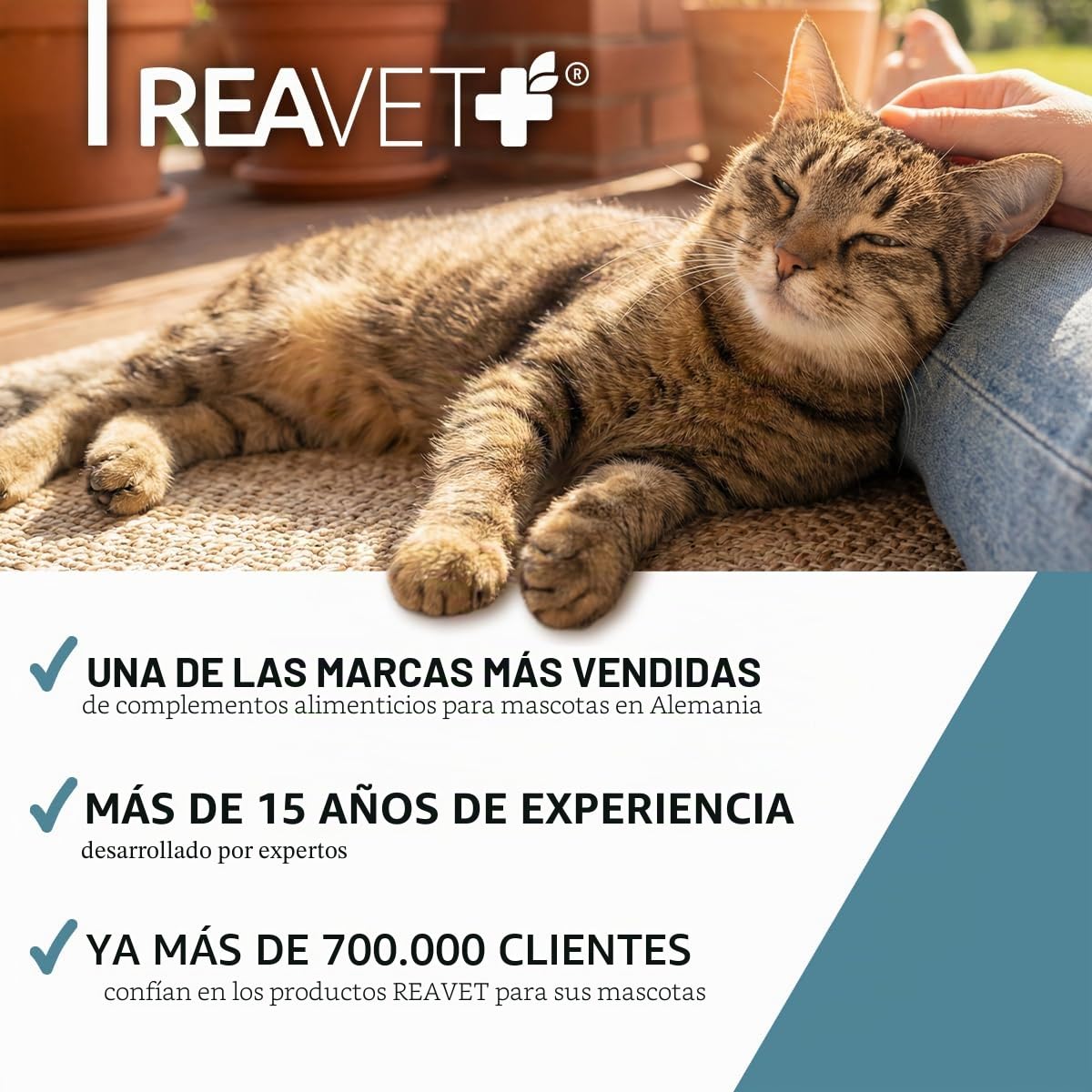 ReaVET Taurina para gatos 100 g – Apoyo cardiovascular, polvo de taurina 100% puro, aminoácidos que apoyan las defensas y el metabolismo celular