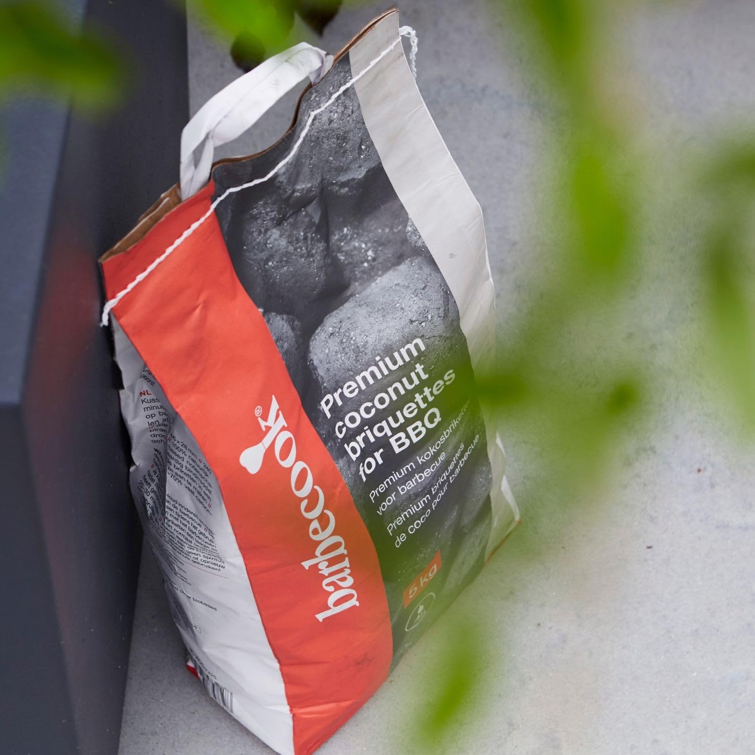 Bricchetti Barbecue Gusci Noce di Cocco Carbonella 5 Kg