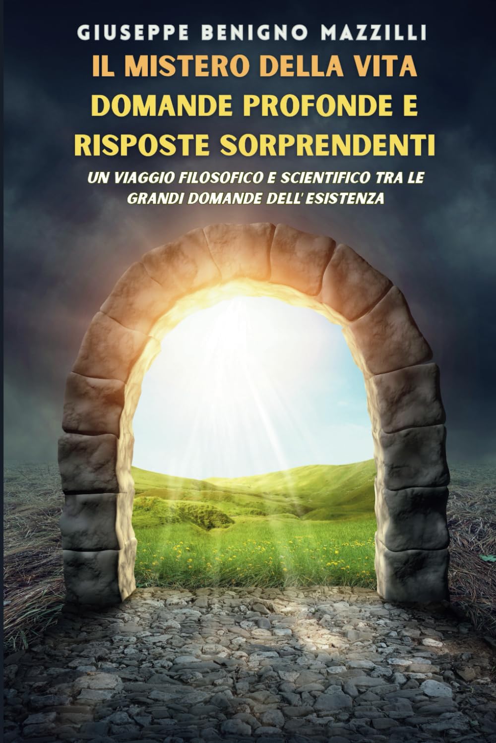 IL MISTERO DELLA VITA: DOMANDE PROFONDE E RISPOSTE SORPRENDENTI: Un Viaggio Filosofico E Scientifico Tra Le Grandi Domande Dell’esistenza