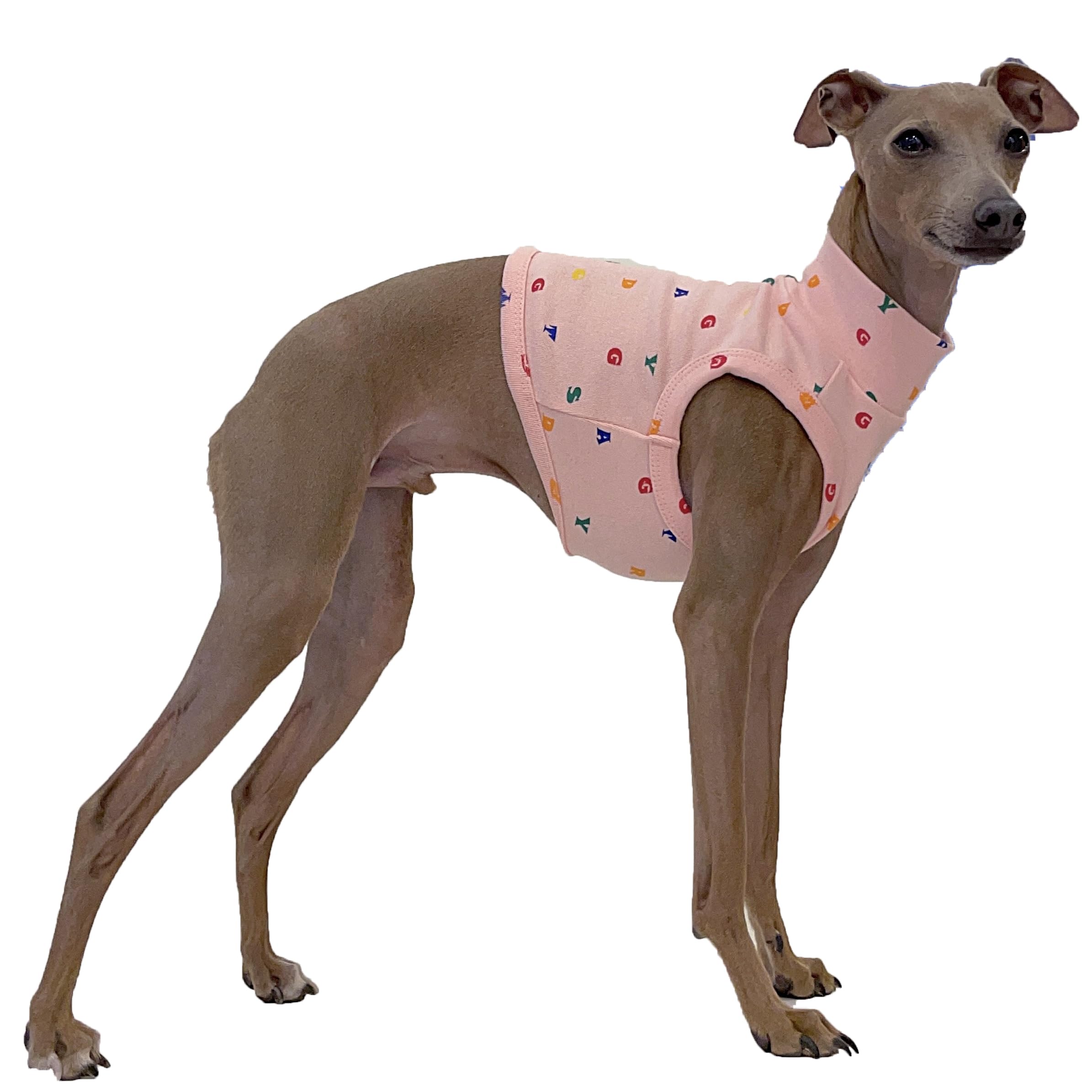 D Doggy Star Italian Greyhound Clothes Crop Top Stretchy T Shirts Whippet for Dogs (3XL,Alpbt Croptop Pink) — image 1
