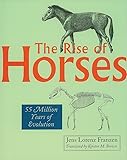 The Rise of Horses: 55 Million Years of Evolution
