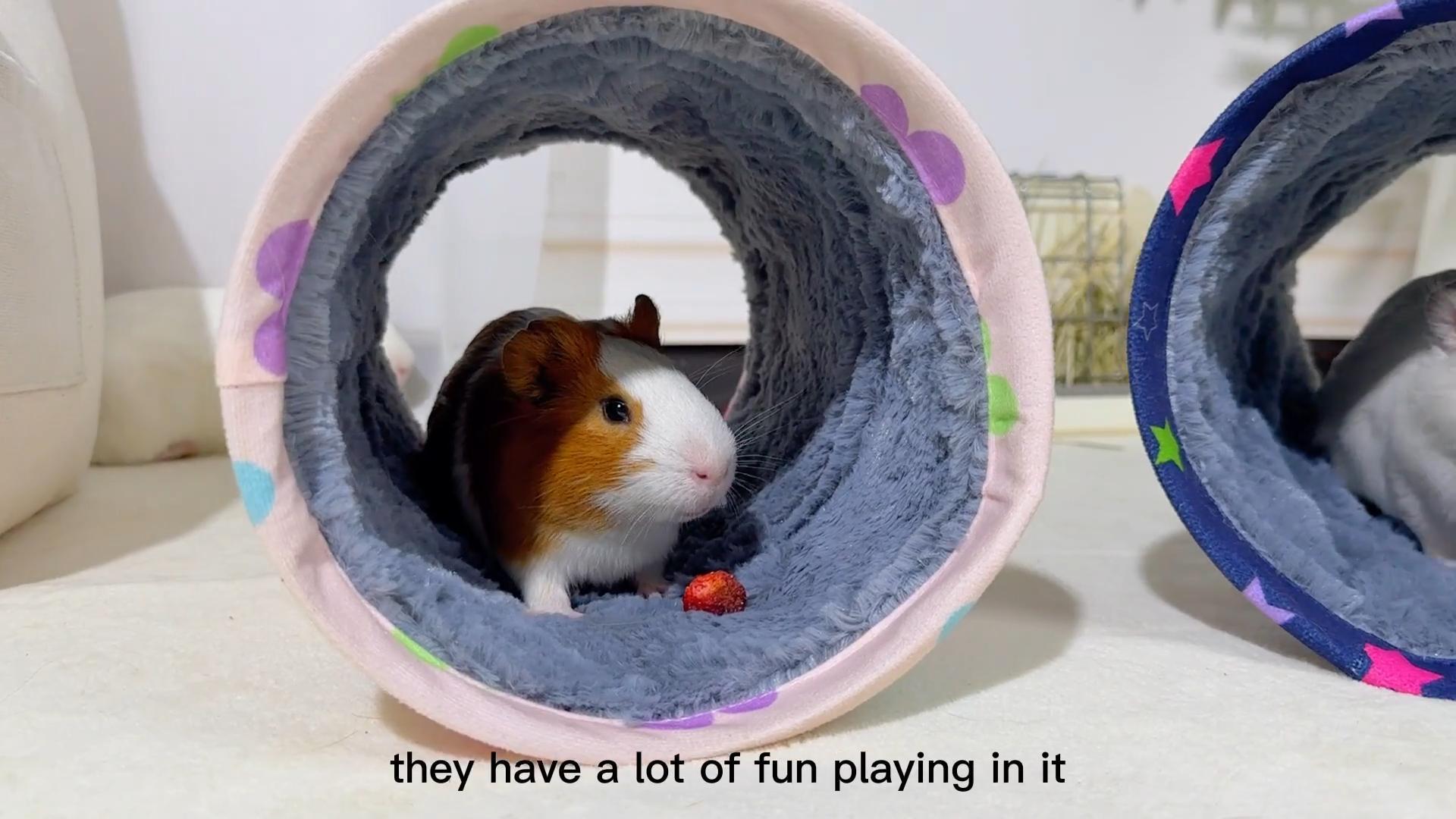 Aazon.co : Glitte Guinea Pig Tunnel Washable Guinea Pigs Hideout Portable Rabbit Tunnels Soft